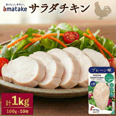 �T���_�`�L��(�v���[����)×10��