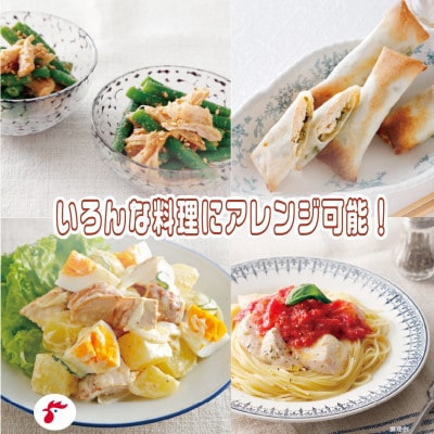 サラダチキンセット10袋 6種