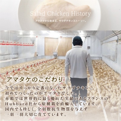 サラダチキンセット10袋 6種