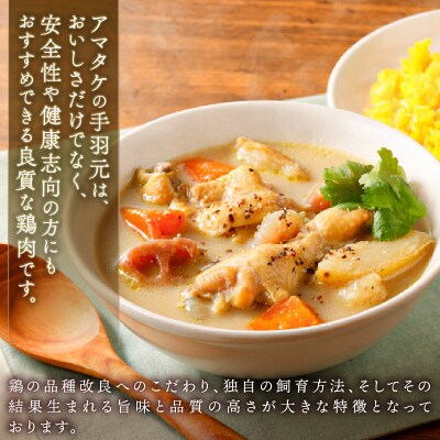 ゴロゴロ野菜のスープカレー 3袋 常温保存 [amatake057]