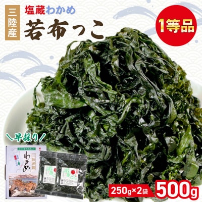 若芽っこ 塩蔵わかめ 250g×2袋