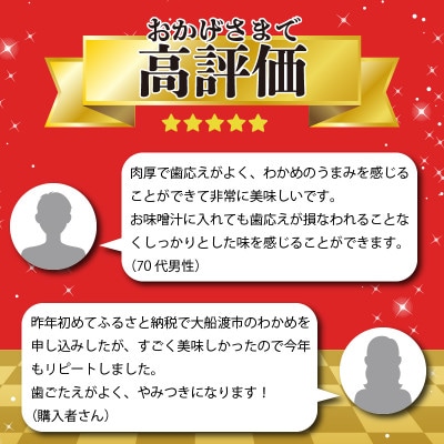 若芽っこ 塩蔵わかめ 250g×2袋