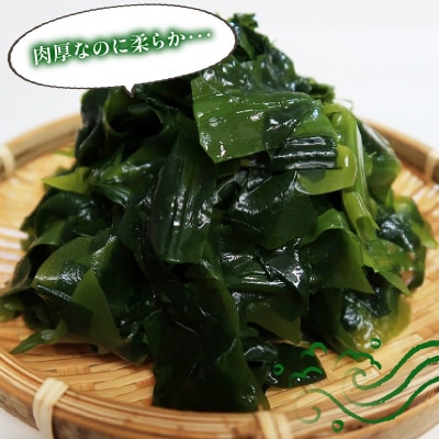 若芽っこ 塩蔵わかめ 500g×2袋