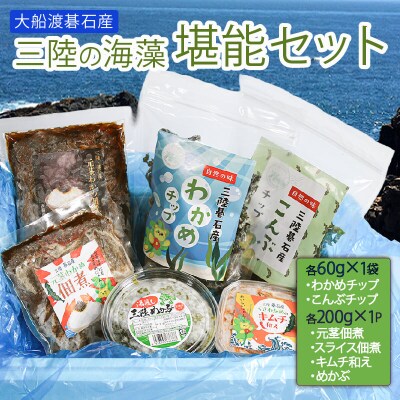 三陸の海藻 堪能セット6種