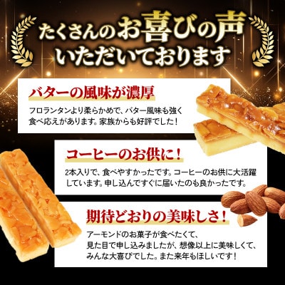 アーモンドロック10個入り×2箱[oouraya009_1]