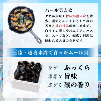 先行予約 国産 活ムール貝 3.3kg [nakano010]