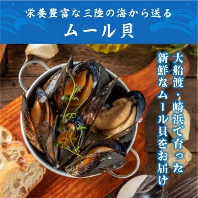 先行予約 国産 活ムール貝 2.5kg [nakano009]