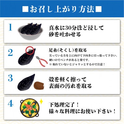 先行予約 国産 活ムール貝 2.5kg [nakano009]