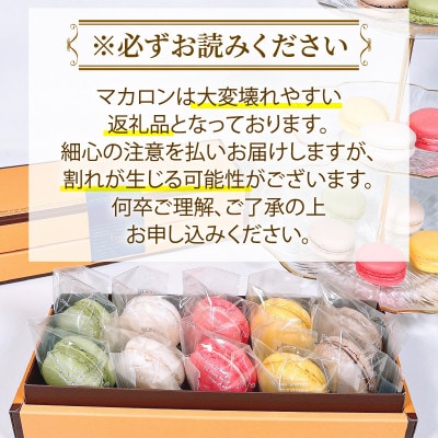 マカロン 詰め合わせ 20個(10個入り×2箱) [rorenu005]