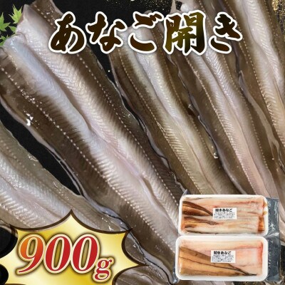 あなご開き 2～3パック(計900g)[shitabo012_1]