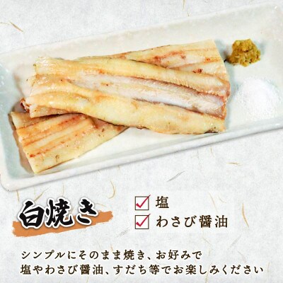 あなご開き 2～3パック(計900g)[shitabo012_1]