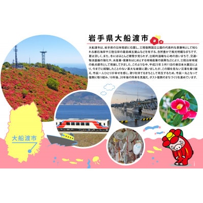 海藻セットB(わかめ/昆布/刻み昆布/茎わかめ)1kg