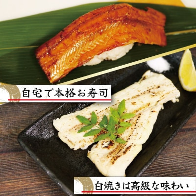 三陸産 天然極あなご 蒲焼・白焼(各1枚)