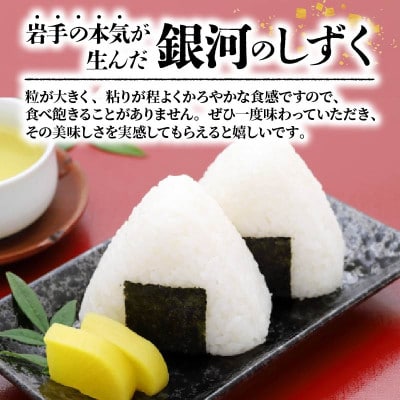 銀河のしずく パックご飯12食