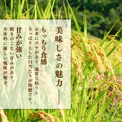 ひとめぼれ5kg×1袋