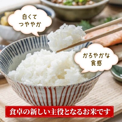 銀河のしずく 20kg[owada017]