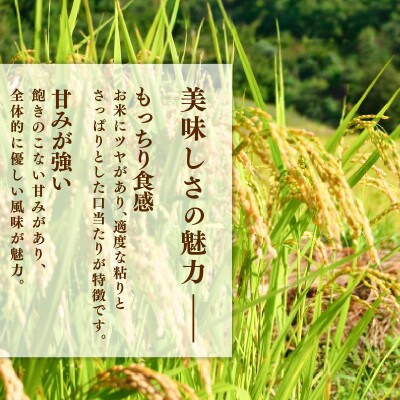 ★【令和8年予約】ひとめぼれ5kg×1袋 [9月下旬以降発送][owada014]