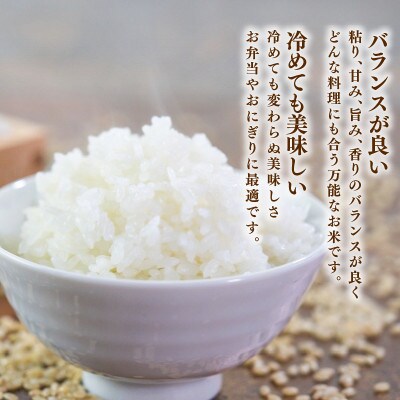 ★【令和8年予約】ひとめぼれ5kg×1袋 [9月下旬以降発送][owada014]