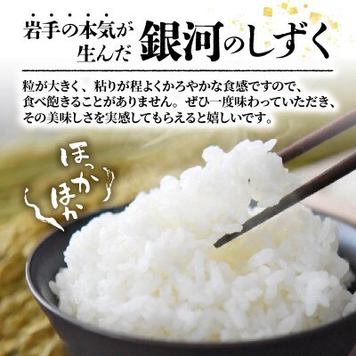 ★【令和8年予約】銀河のしずく10kg(5kg×2袋) [9月下旬以降発送][owada013]
