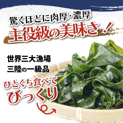 塩蔵わかめ 1kg(100g×10)[marukatu002_1]