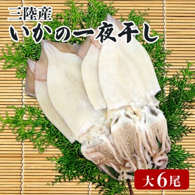 いかの一夜干し 大6尾 [56500390_4]