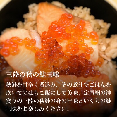 三陸産はらこセット中(秋鮭切り身16切れ、いくら醤油漬200g) [maruwa18]