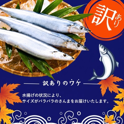 【9～11月発送】訳あり 鮮さんま 2kg [maruwa19_3]
