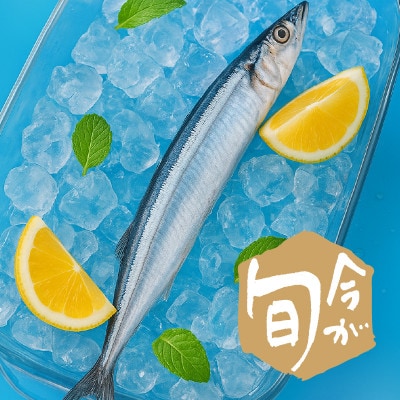 【9～11月発送】訳あり 鮮さんま 2kg [maruwa19_3]