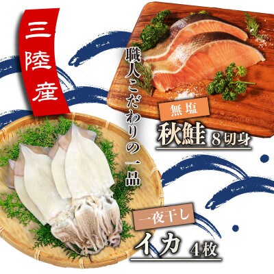 秋鮭(無塩)8切・イカ一夜干し4枚BA-2[maruwa13_1]