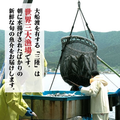 鮮魚便 3~6匹セット[56500295_1]