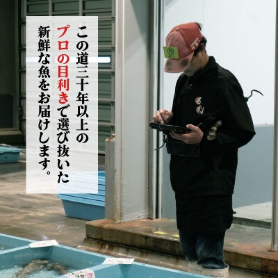 鮮魚便 3~6匹セット[56500295_1]
