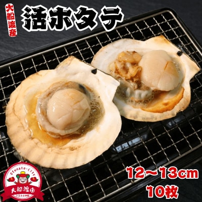 活ホタテ10枚(12～13cm)[enzen004_1]