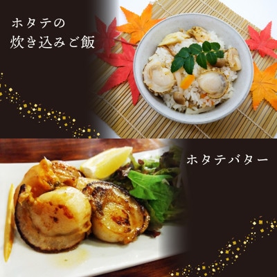 活ホタテ10枚(12～13cm)[enzen004_1]