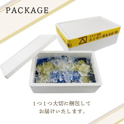 活ムール貝3kg[enzen007]