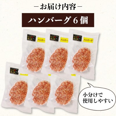 いわて牛入ハンバーグ 6個[koguchi001]