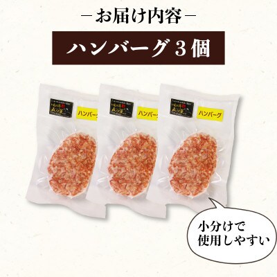 いわて牛入りハンバーグ 3個[koguchi005]