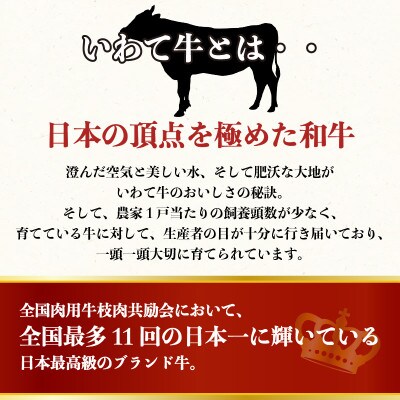 いわて牛入りハンバーグ 30個[koguchi002]
