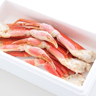 【年内配送可○】ボイル済み本ずわいがにの足1.3kg(4～6肩) A-58016