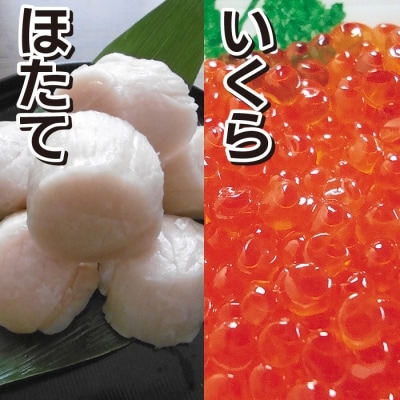 【年内配送可○】ホタテ貝柱500g・醤油いくら100g A-10064