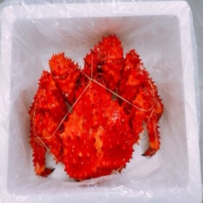 【年内配送可○】★花咲蟹800～900g×1尾 A-27025