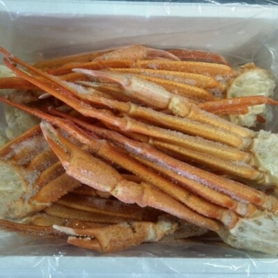 【年内配送可○】ズワイガニ足10～14肩(計1.2kg前後) B-57024