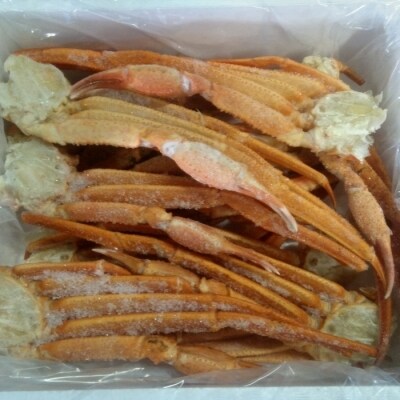 【年内配送可○】ズワイガニ足15～19肩(計1.7kg前後) C-57027