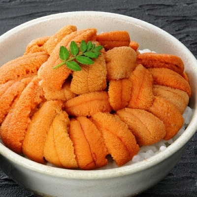 【年内配送可○】エゾバフンウニ塩水パック70～80g×2P B-81006