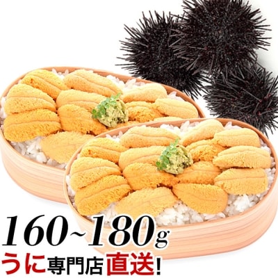【年内配送可○】ムラサキウニ80g～90g×2P A-06001