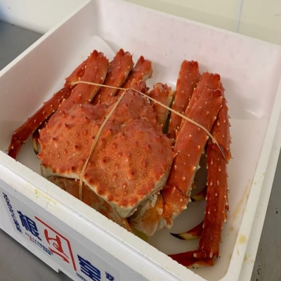 【年内配送可○】浜ゆでタラバガニ1尾(チルド便) D-60002