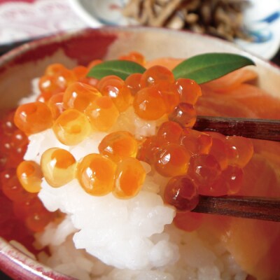 【年内配送可○】塩いくら140g×2P・辛子明太子140g B-16089