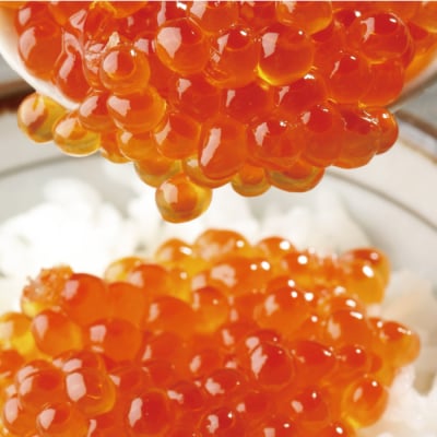 【年内配送可○】醤油いくら140g×4P(計560g) C-16040