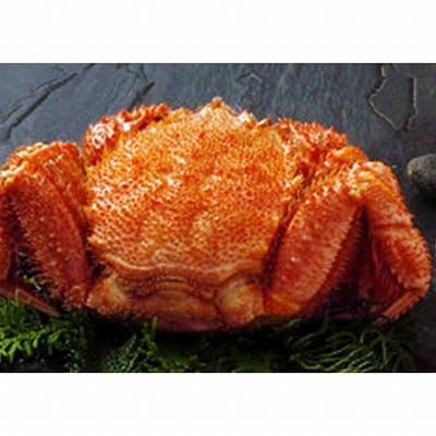 【年内配送可○】ボイル毛がに500g×1尾 A-42114