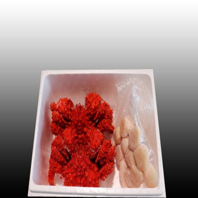 【年内配送可○】ほたて貝柱500g・花咲かに400g～550g前後×2尾 B-70016