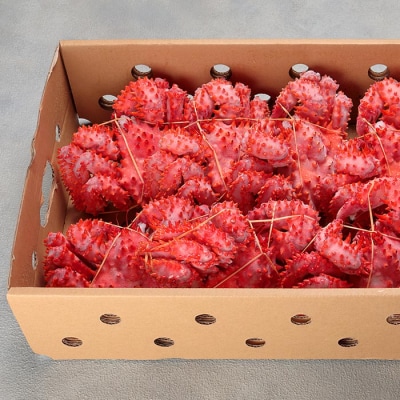 【年内配送可○】★花咲がに姿8～10尾(計4kg) C-25017